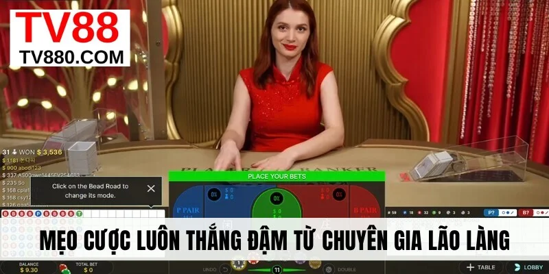 Mẹo cược luôn thắng đậm từ chuyên gia lão làng