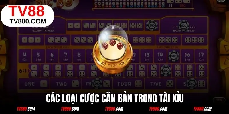 Những loại cược căn bản bạn cần chú ý