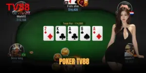 Poker TV88 - Đấu Trí Đỉnh Cao, Trải Nghiệm Đẳng Cấp